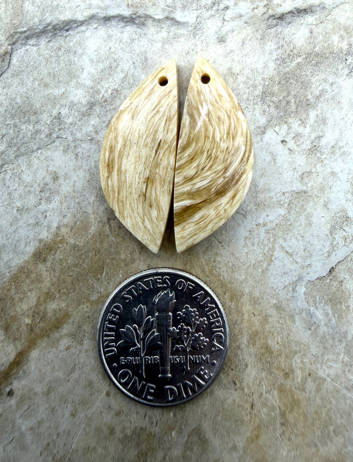 Fossilized Woolly Mammoth Tooth Matching Earring Slab Bead