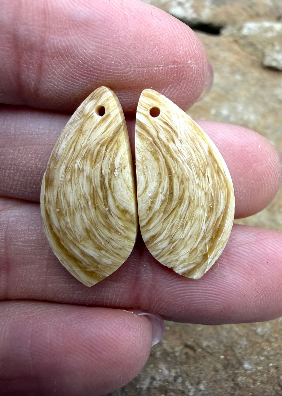 Fossilized Woolly Mammoth Tooth Matching Earring Slab Bead