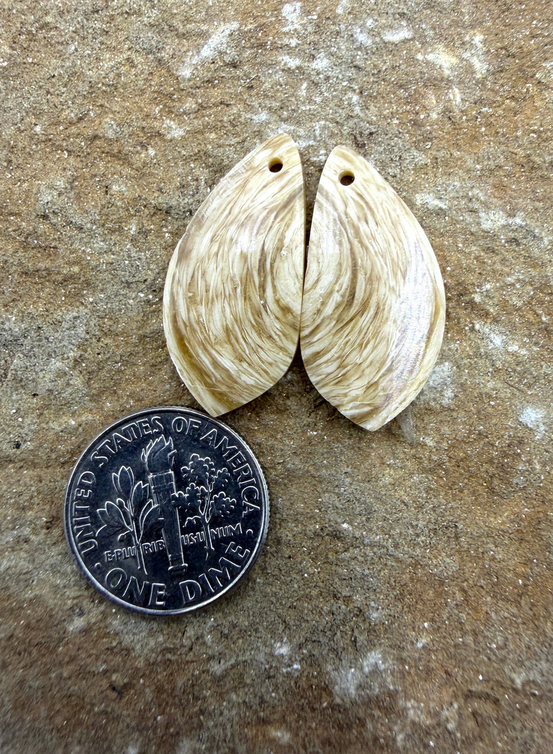 Fossilized Woolly Mammoth Tooth Matching Earring Slab Bead