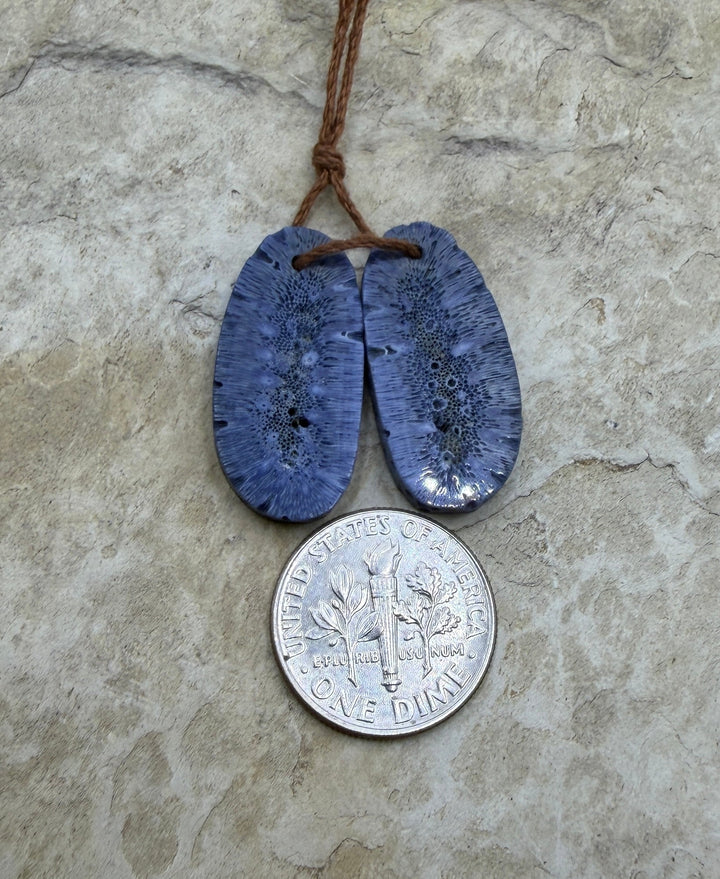 FRIDAY BARGAIN Blue Sponge Coral Matching Earring Slab Bead