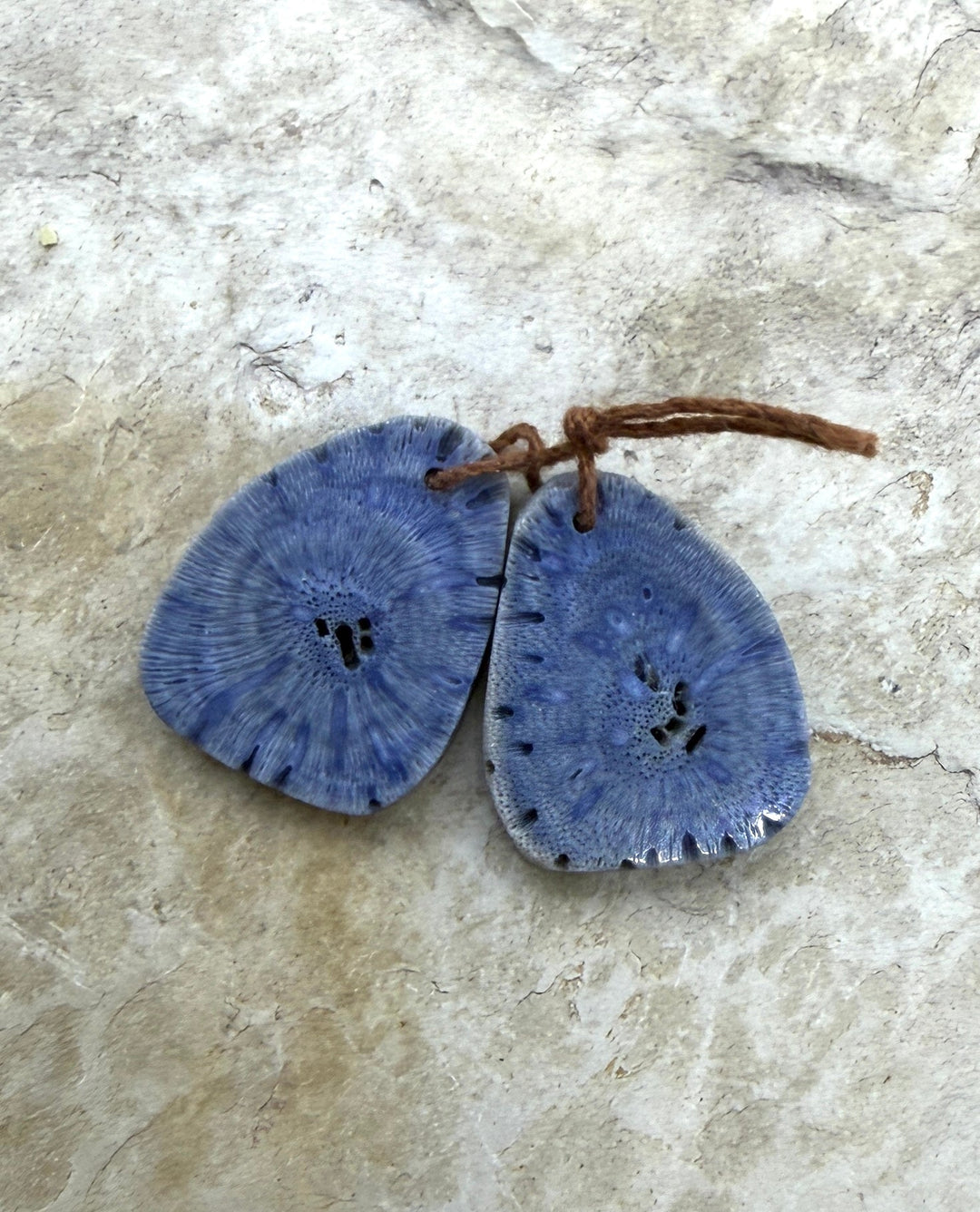 FRIDAY BARGAIN Blue Sponge Coral Matching Earring Slab Bead