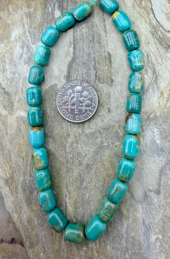 FRIDAY BARGAIN BUY Campitos Turquoise (Mexico) Barrel Beads