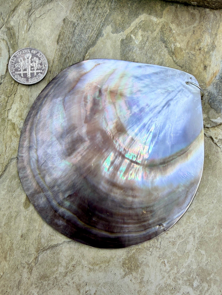 FRIDAY BARGAIN BUY HUGE Sea Shell Pendant 89mm - Mixed Lot
