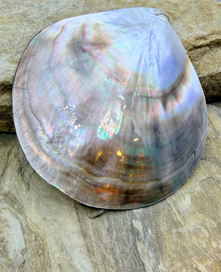 FRIDAY BARGAIN BUY HUGE Sea Shell Pendant 89mm - Mixed Lot