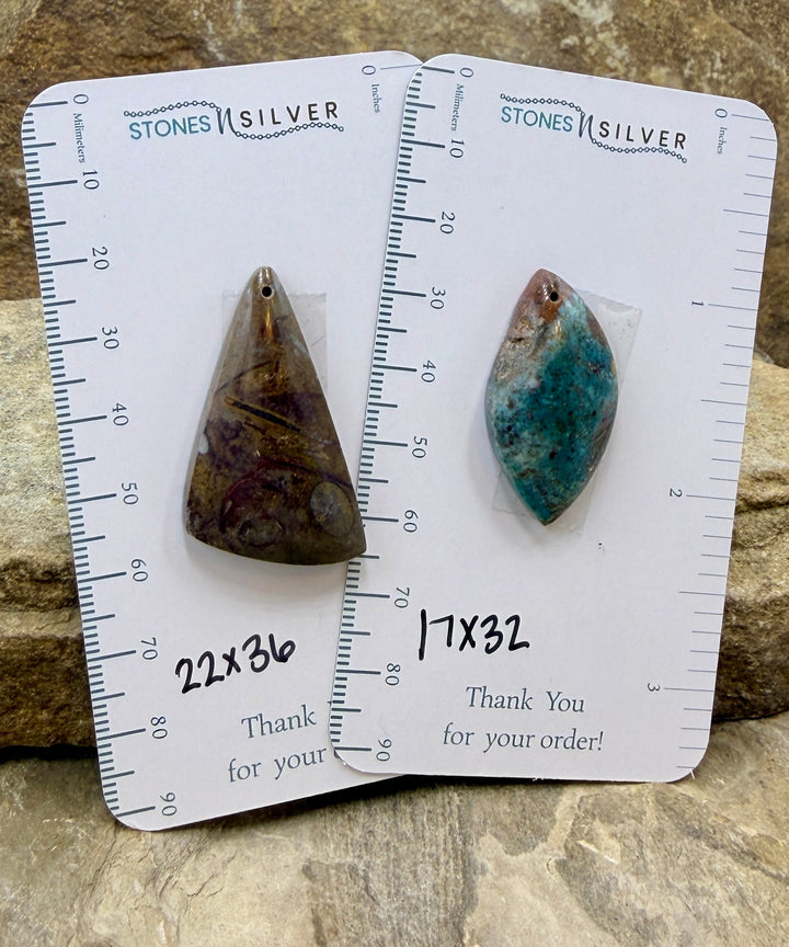 FRIDAY BARGAIN BUY LOT of 2 Focal Peandant Beads Fossil