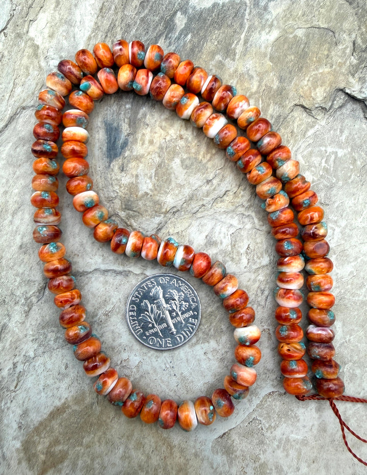 Friday Bargain Buy Orange Spiny Oyster with Turquoise Inlay