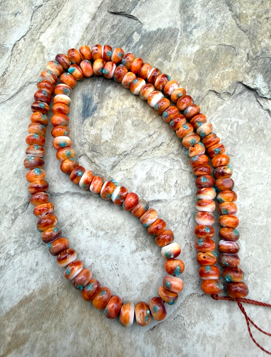Friday Bargain Buy Orange Spiny Oyster with Turquoise Inlay