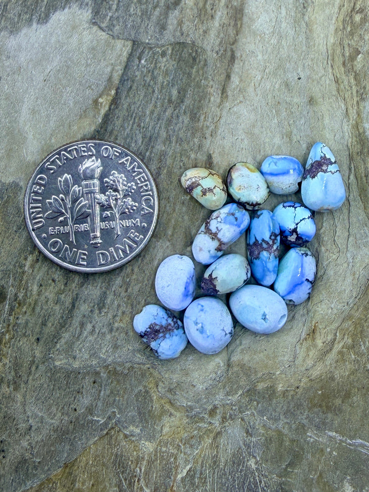 FRIDAY BARGAIN LOT of 13 Golden Hills Turquoise Rounded