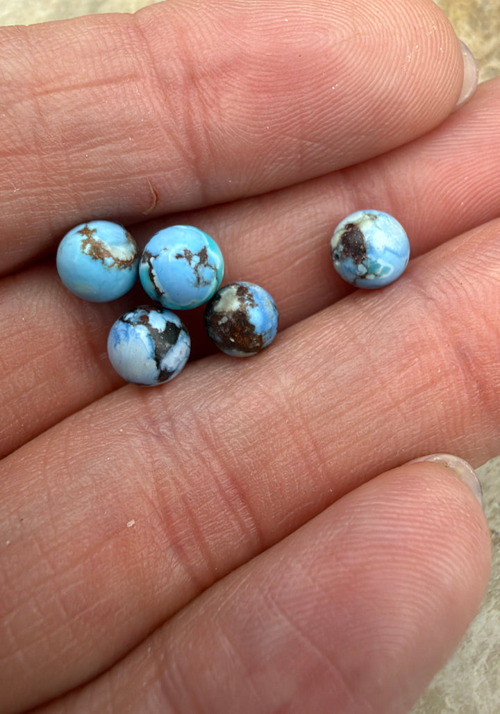 FRIDAY BARGAIN LOT of 5 Golden Hills Turquoise 6mm Round