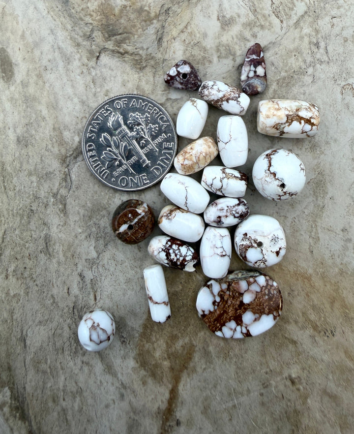 FRIDAY BARGAIN Lot of Mixed Shape Arizona Wild Horse beads
