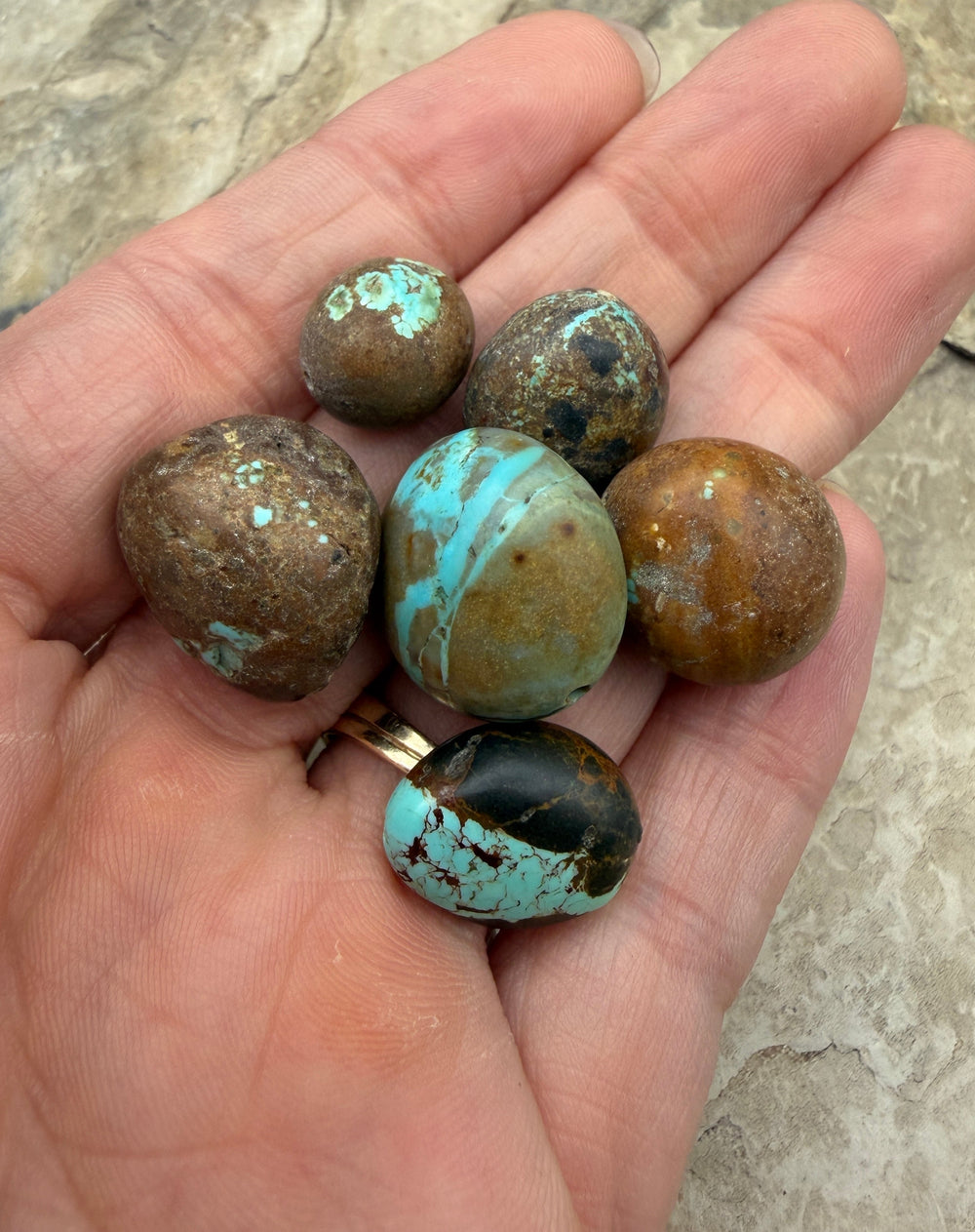 FRIDAY BARGAIN Number 8 Turquoise (Nevada) LOT of 6 loose