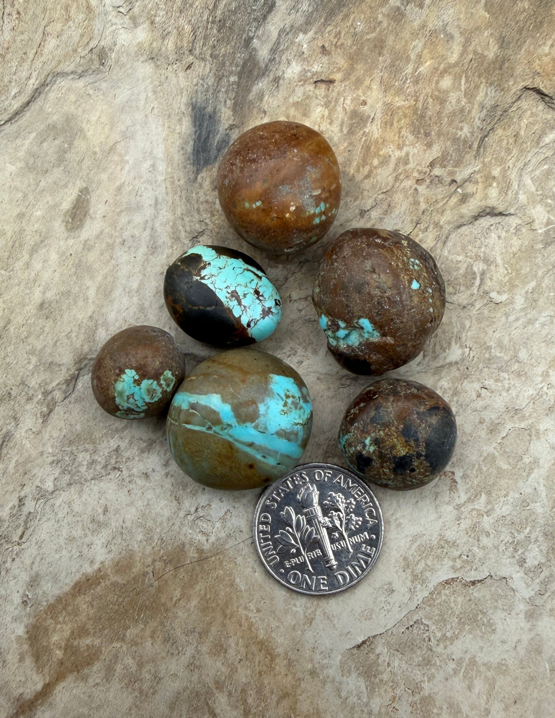 FRIDAY BARGAIN Number 8 Turquoise (Nevada) LOT of 6 loose