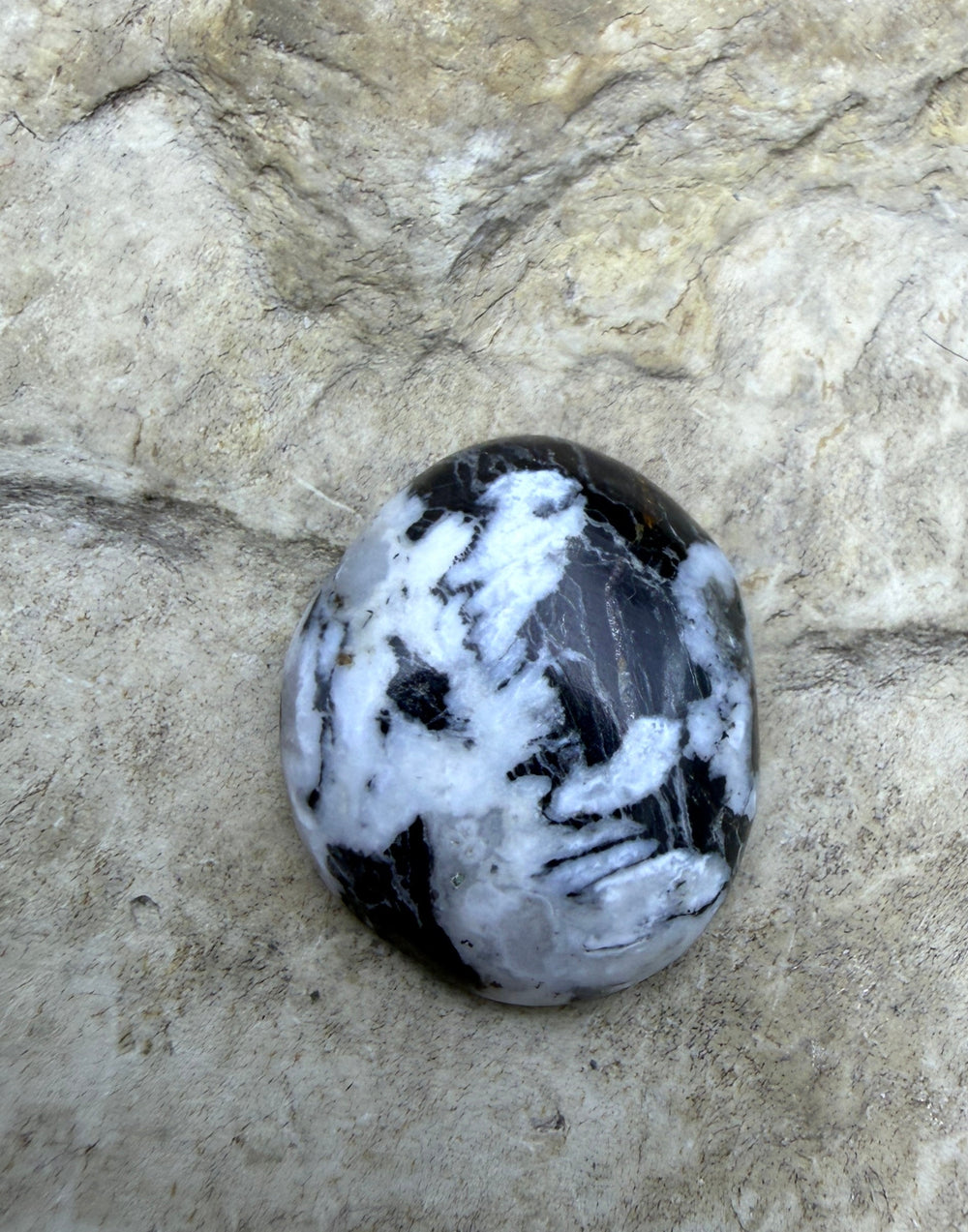 FRIDAY BARGAIN...RARE High Quality White Buffalo Cabochon