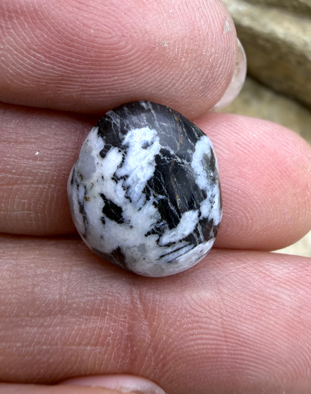 FRIDAY BARGAIN...RARE High Quality White Buffalo Cabochon