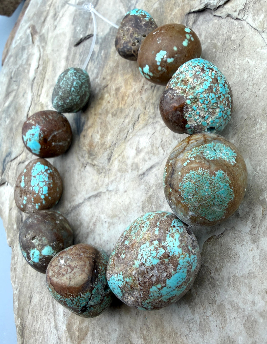 FRIDAY BARGAIN RARE Number 8 Turquoise (Nevada) Giant