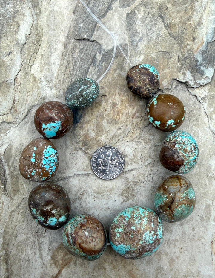 FRIDAY BARGAIN RARE Number 8 Turquoise (Nevada) Giant