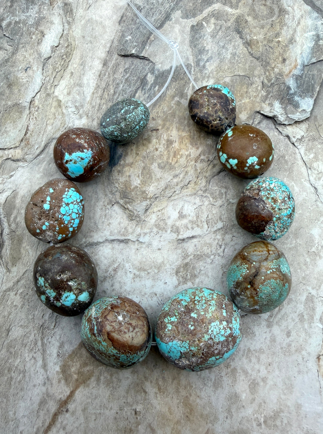 FRIDAY BARGAIN RARE Number 8 Turquoise (Nevada) Giant