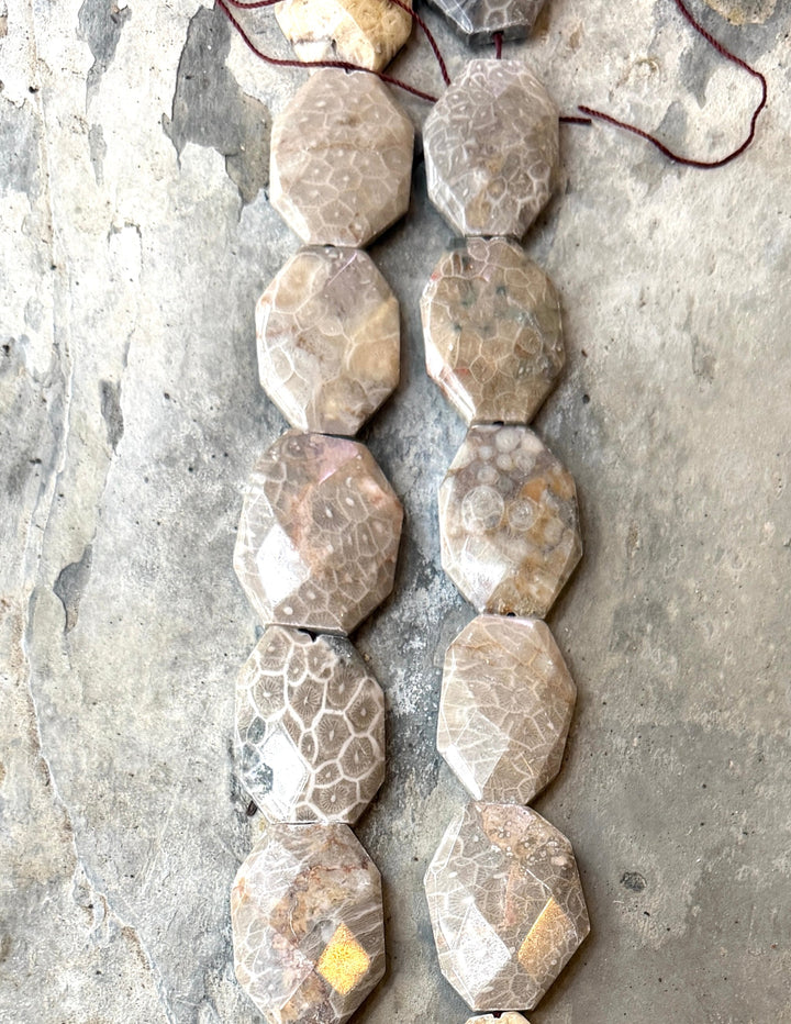 Fossil Coral BIG 27x37mm Faceted Bead Strand 16 Inch Strand