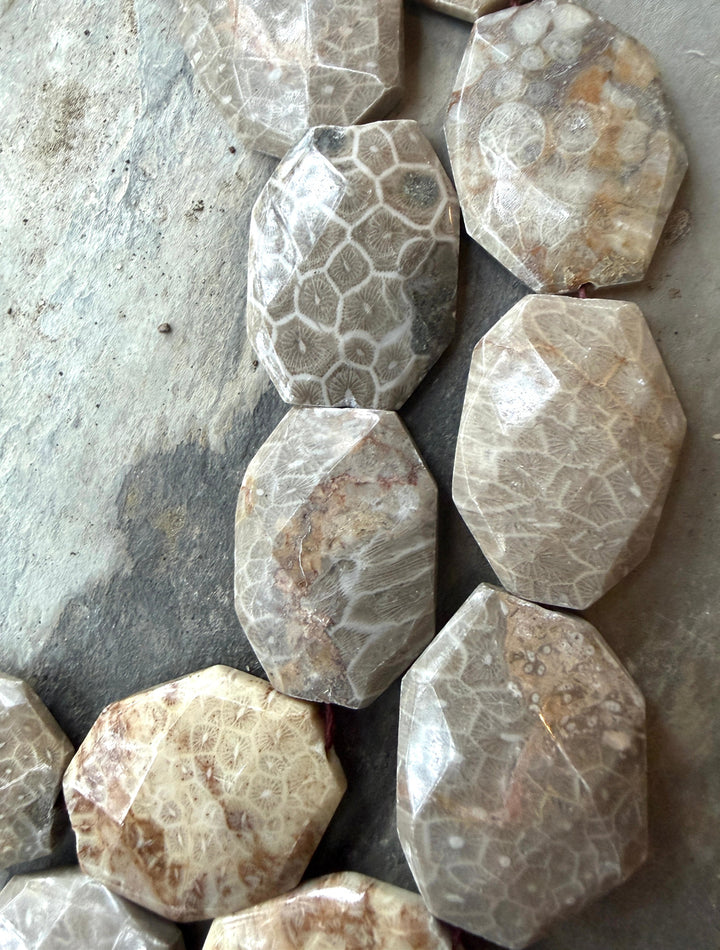 Fossil Coral BIG 27x37mm Faceted Bead Strand 16 Inch Strand