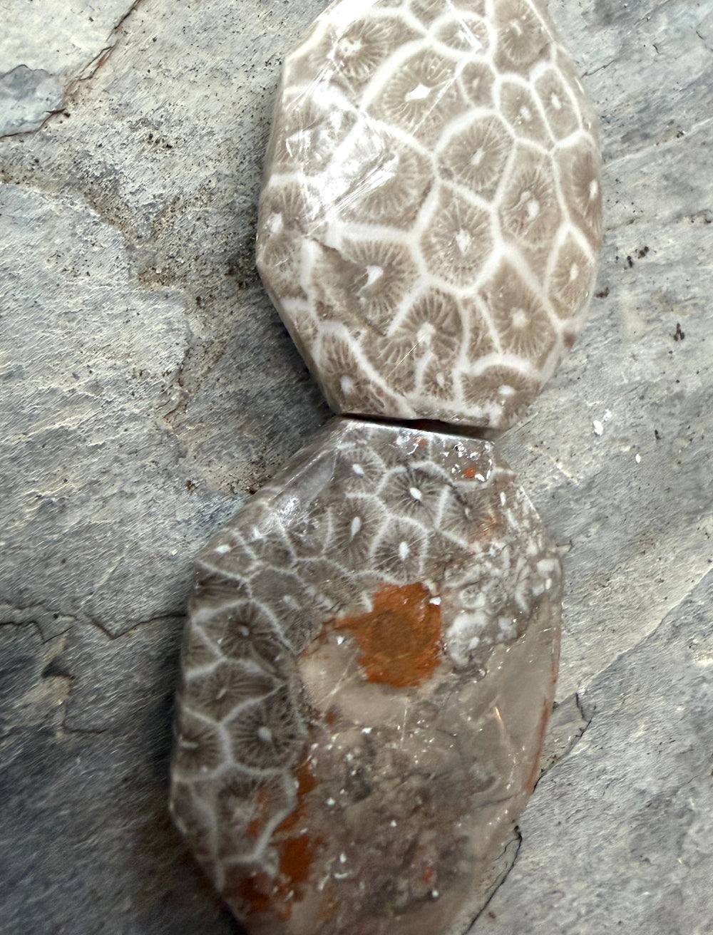Fossil Coral BIG 27x37mm Faceted Bead Strand 16 Inch Strand
