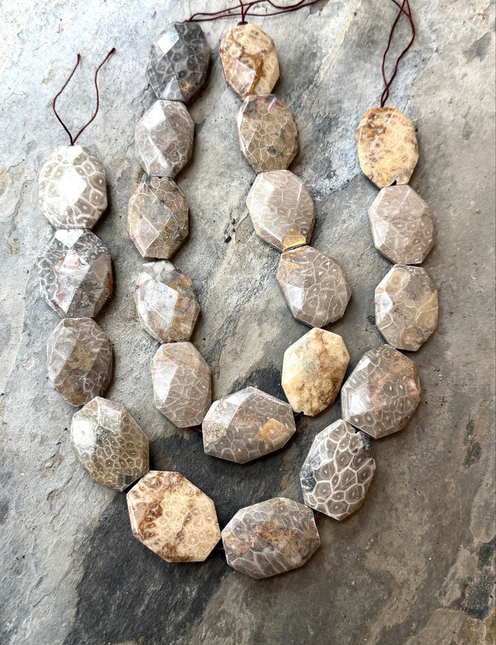 Fossil Coral BIG 27x37mm Faceted Bead Strand 16 Inch Strand