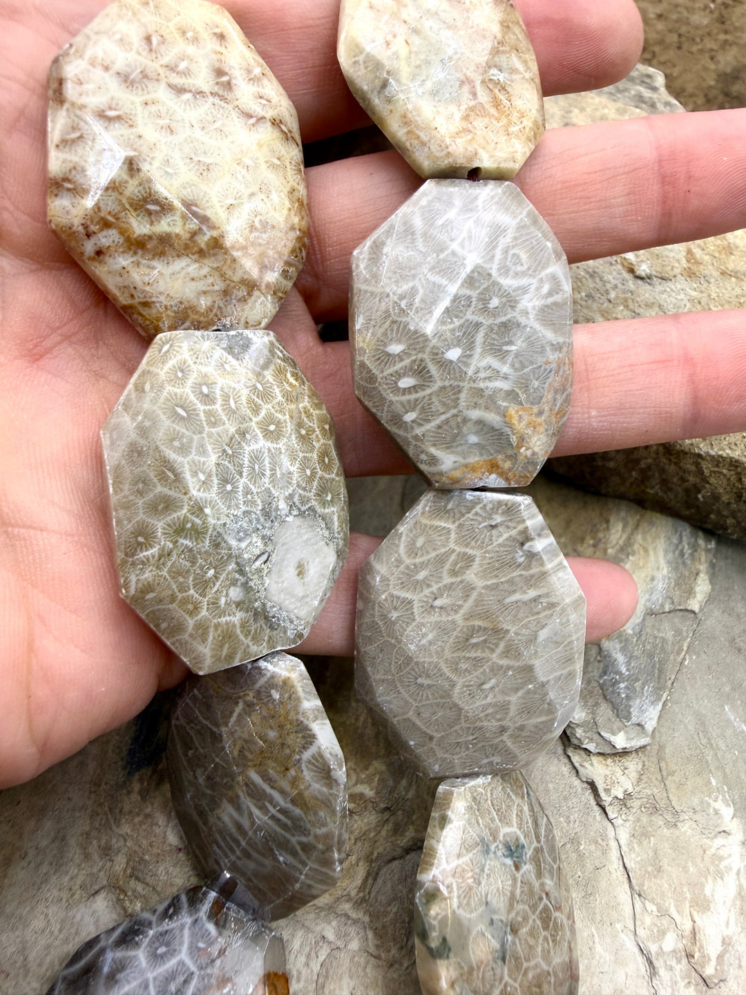 Fossil Coral BIG 27x37mm Faceted Bead Strand 16 Inch Strand