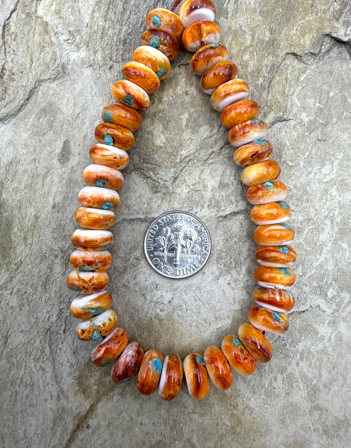 FRIDAY SPECIAL BUY Orange Spiny Oyster with Turquoise Inlay