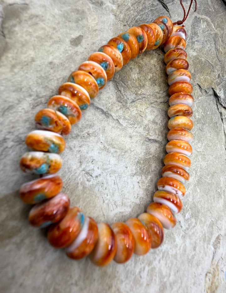 FRIDAY SPECIAL BUY Orange Spiny Oyster with Turquoise Inlay