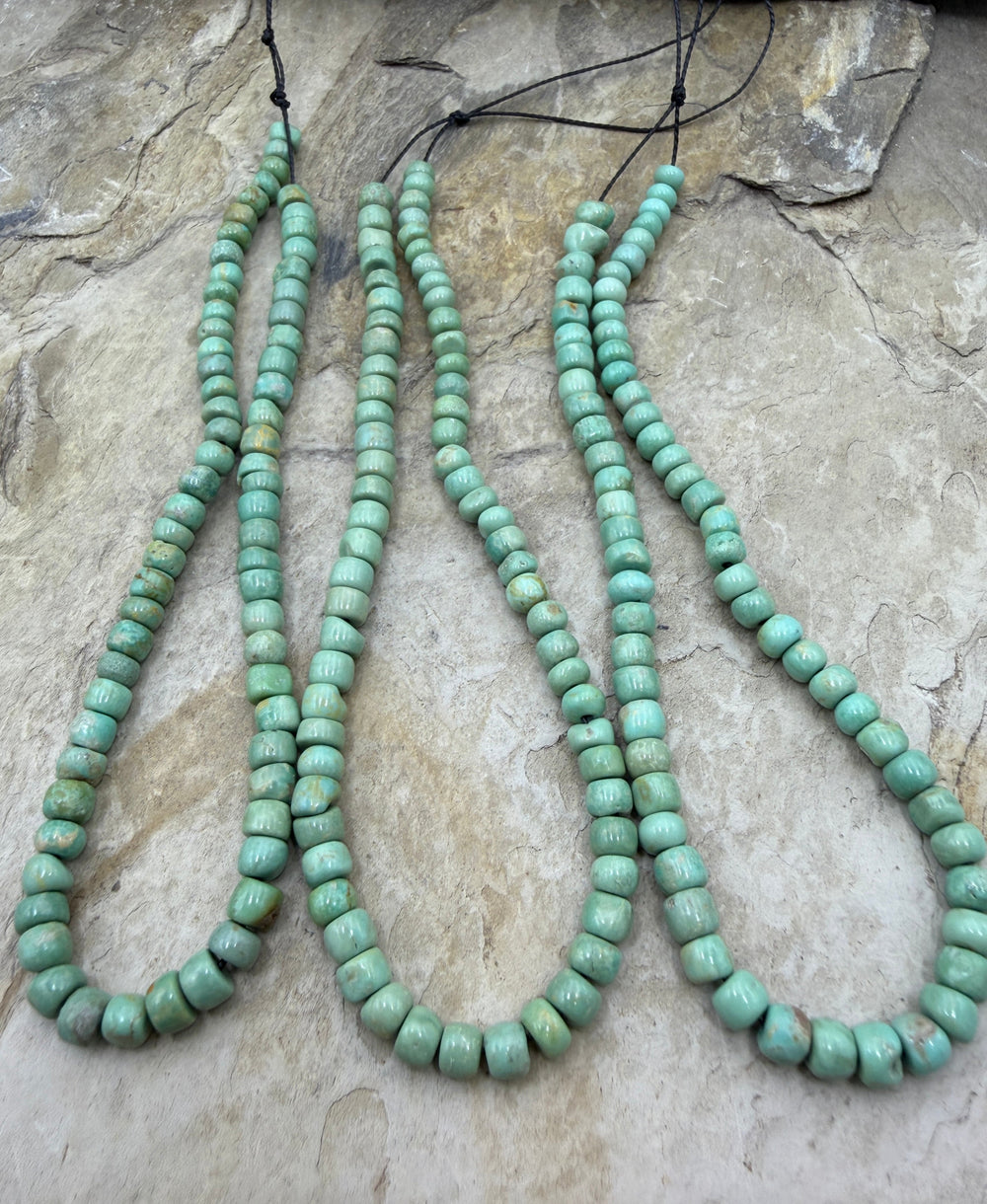 Green Campitos Turquoise (Mexico) 5mm Funky Bead Mix
