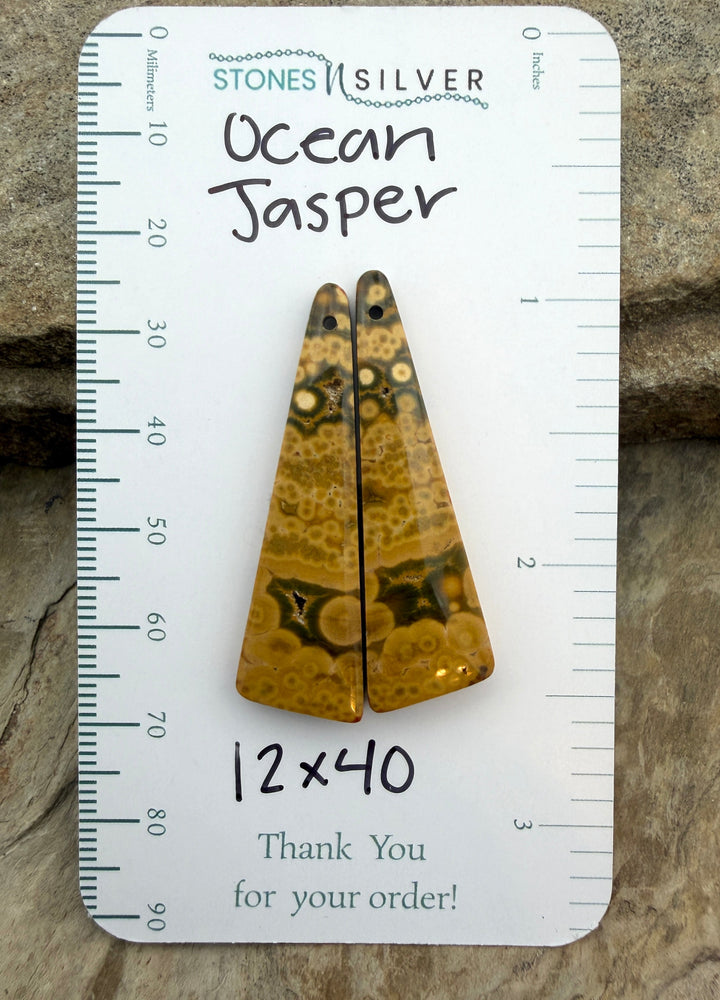 High Quality Ocean Jasper Matching Earring Slab Bead Pair