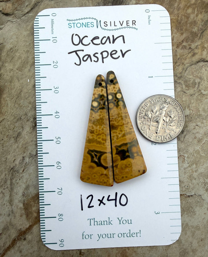 High Quality Ocean Jasper Matching Earring Slab Bead Pair