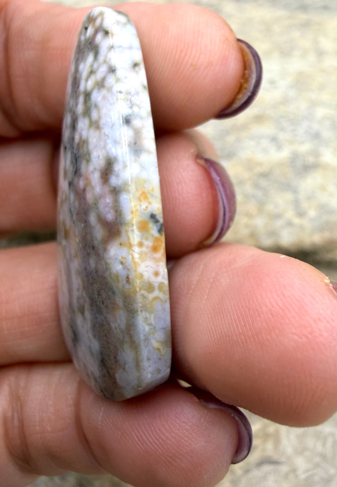 High Quality Ocean Jasper Matching Earring Slab Bead Pair