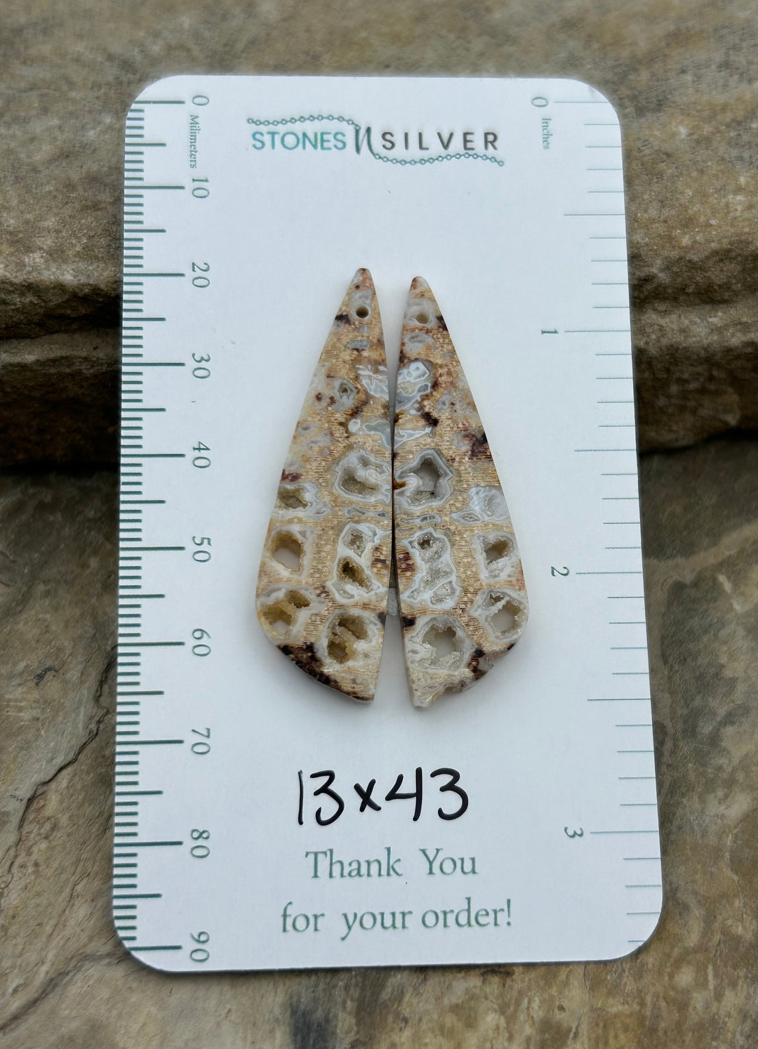 Honeycomb Petrified Palm Wood Matching Earring Slab Bead