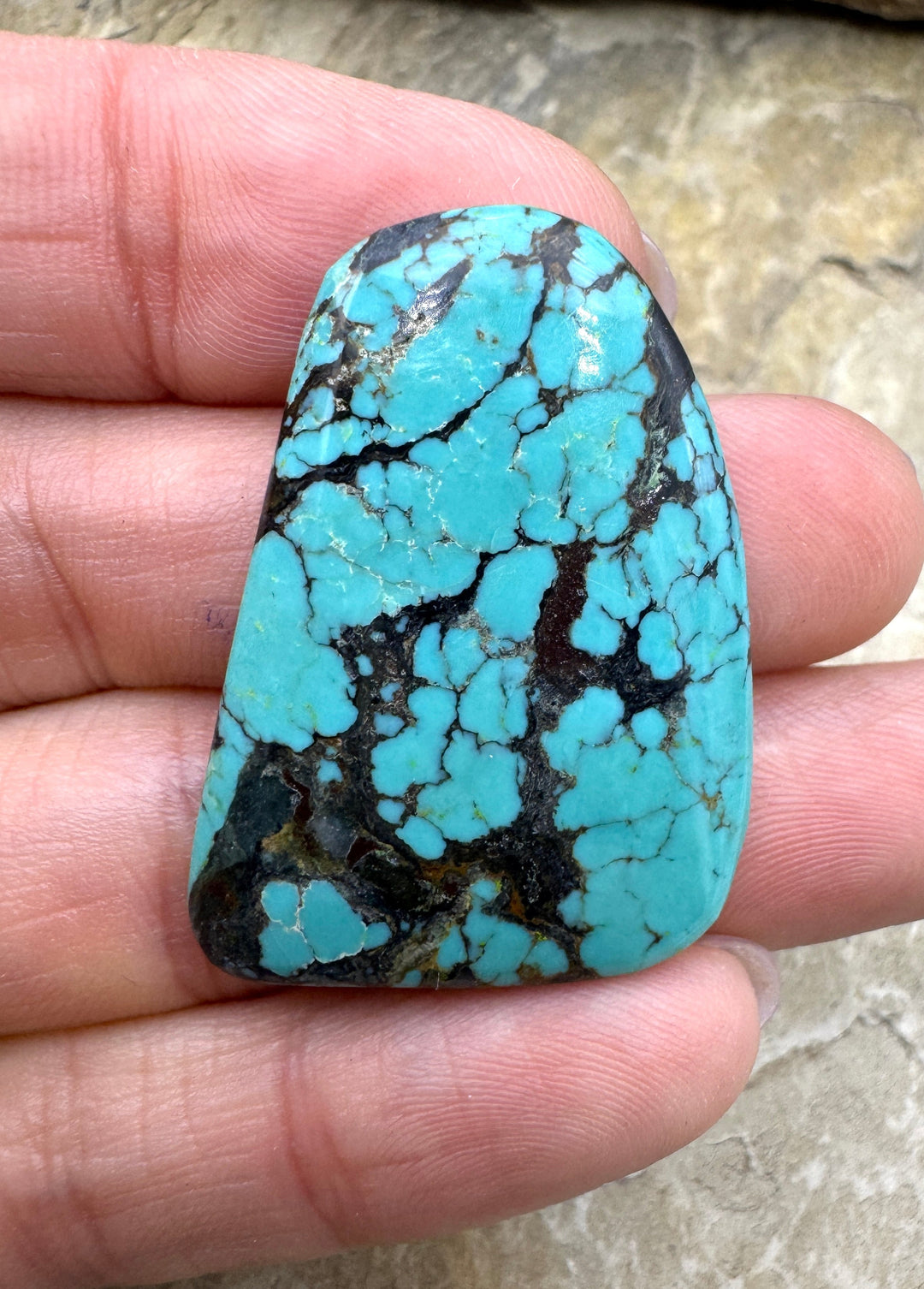 Hubei Turquoise (China) 22x35mm Cabochon Turquoise | Hubei