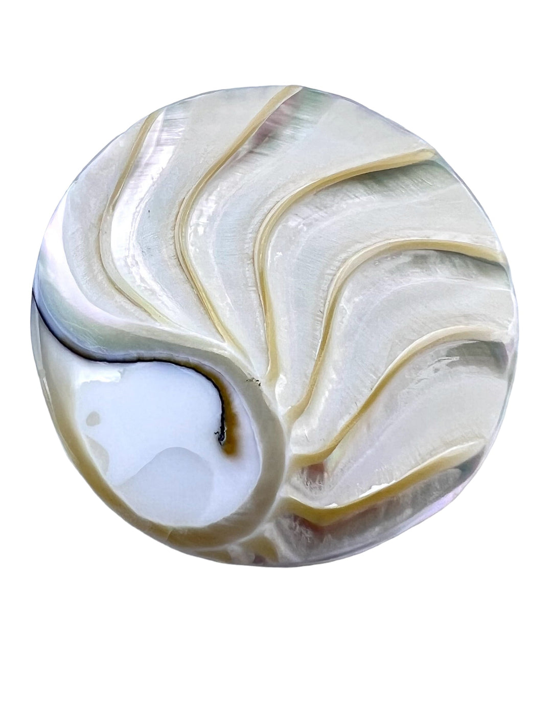 Indonesian Nautilus Shell Round Cabochon 30mm - Indonesian