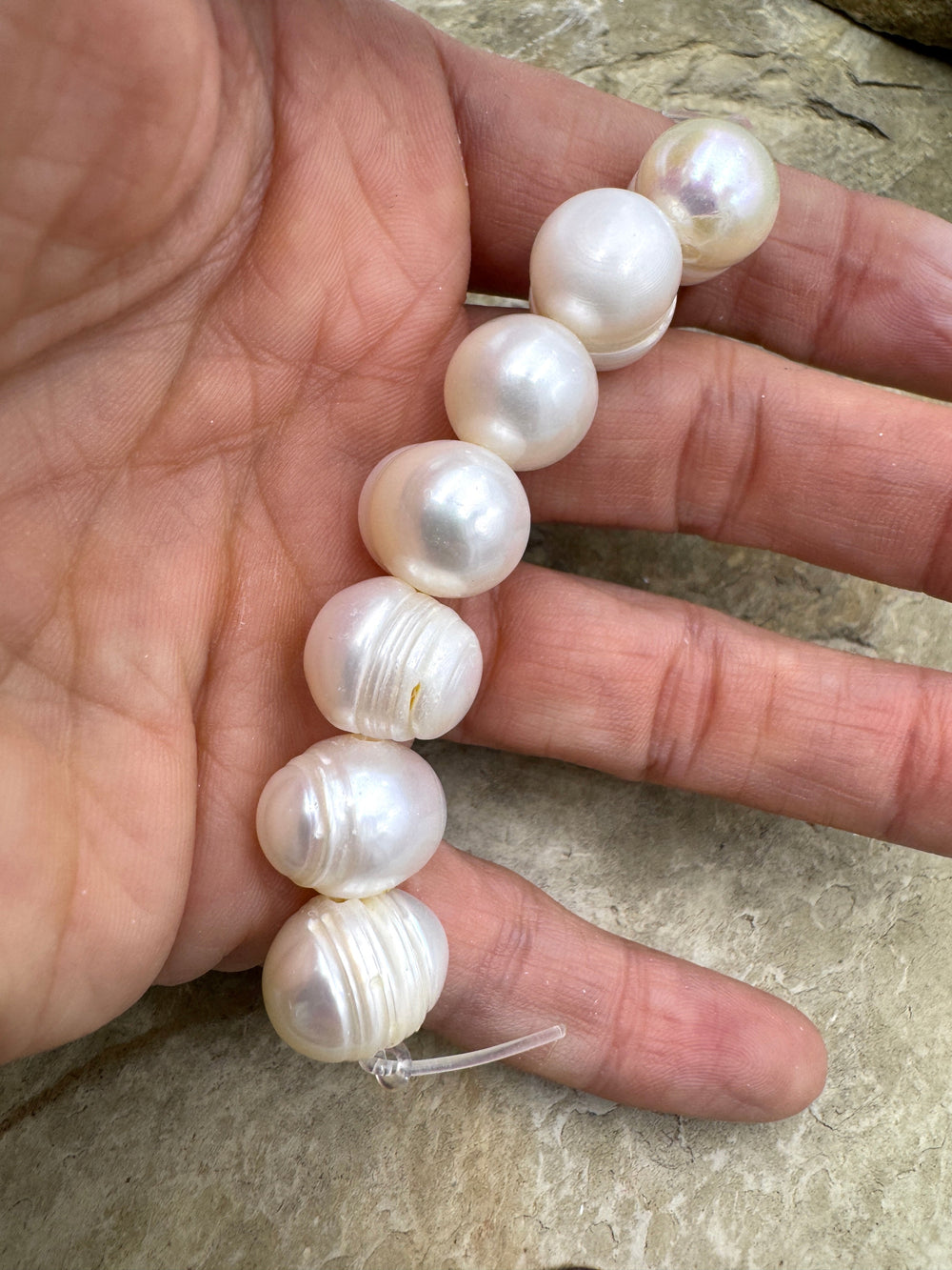 LOT of 7 X-LARGE 113-15mm Large Hole Ringed Pearls 7 Pearls