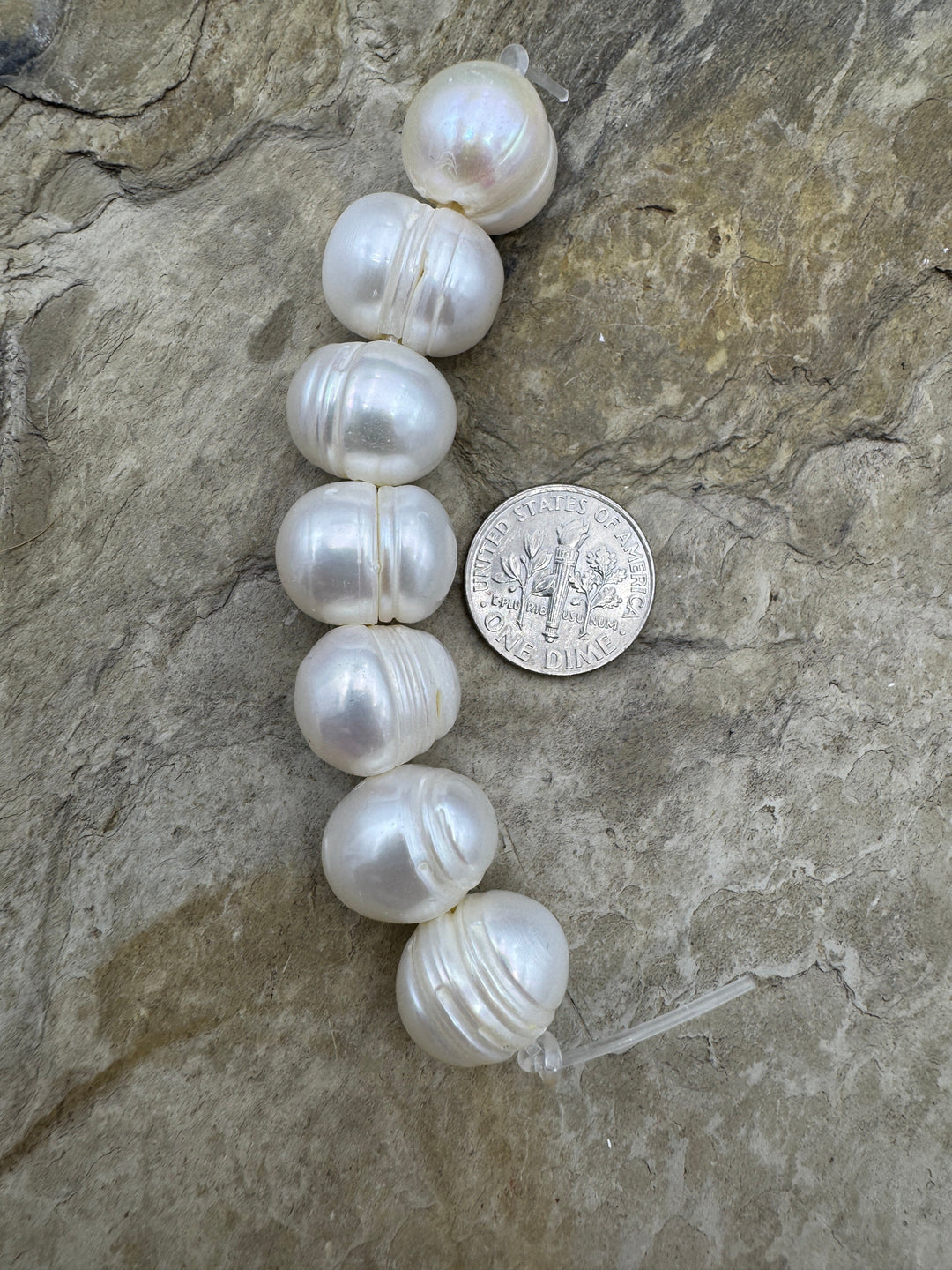LOT of 7 X-LARGE 113-15mm Large Hole Ringed Pearls 7 Pearls