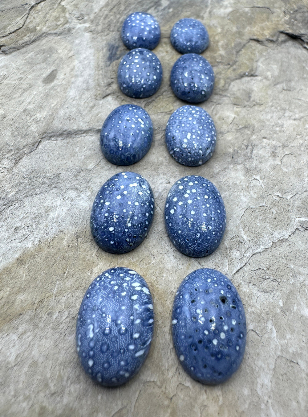 Natural Blue Sponge Coral 12x18mm Oval Cabochon One Pair