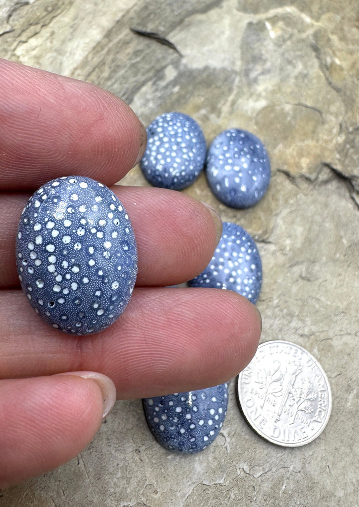Natural Blue Sponge Coral 15x20mm Oval Cabochon