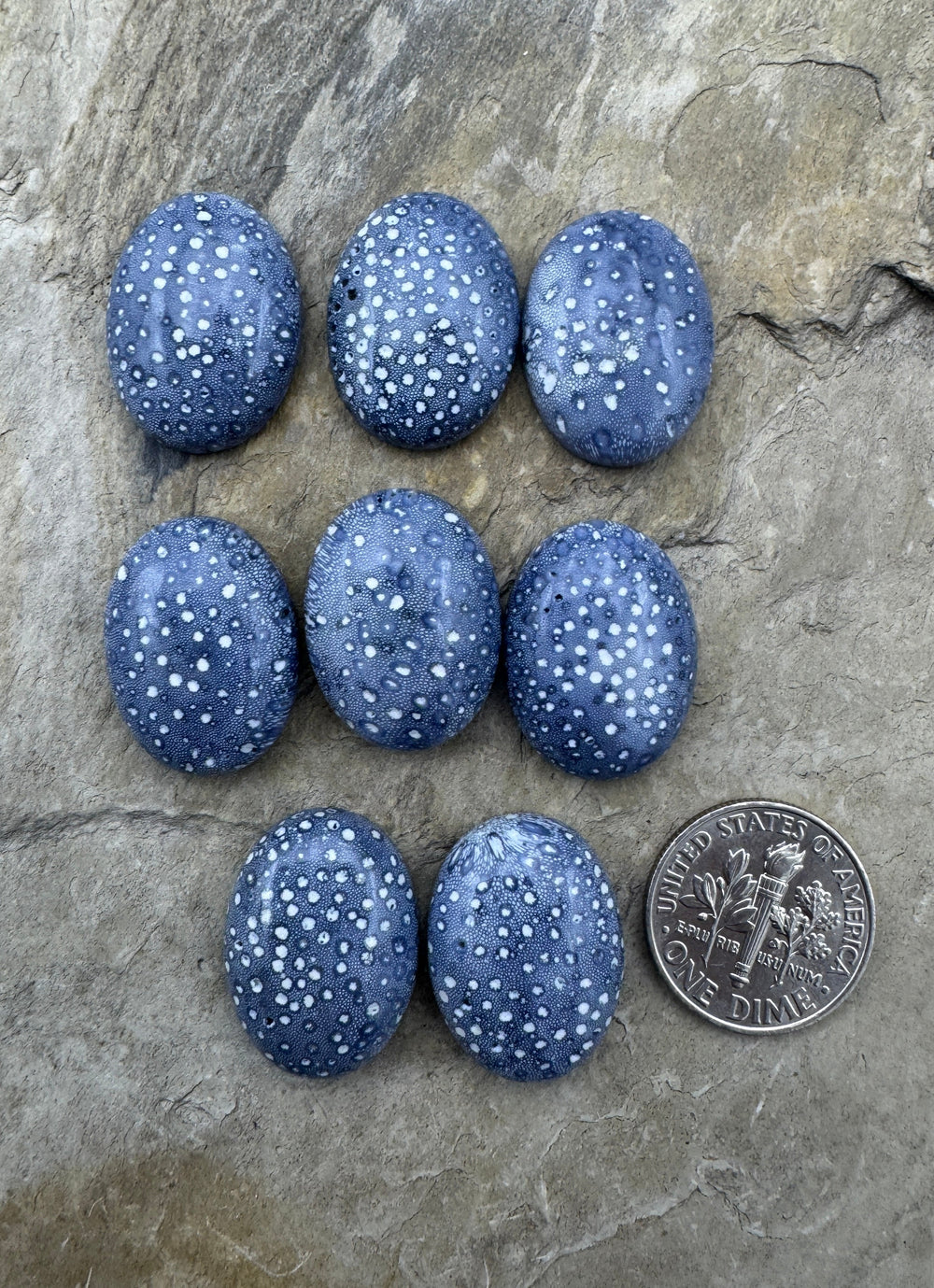Natural Blue Sponge Coral 15x20mm Oval Cabochon