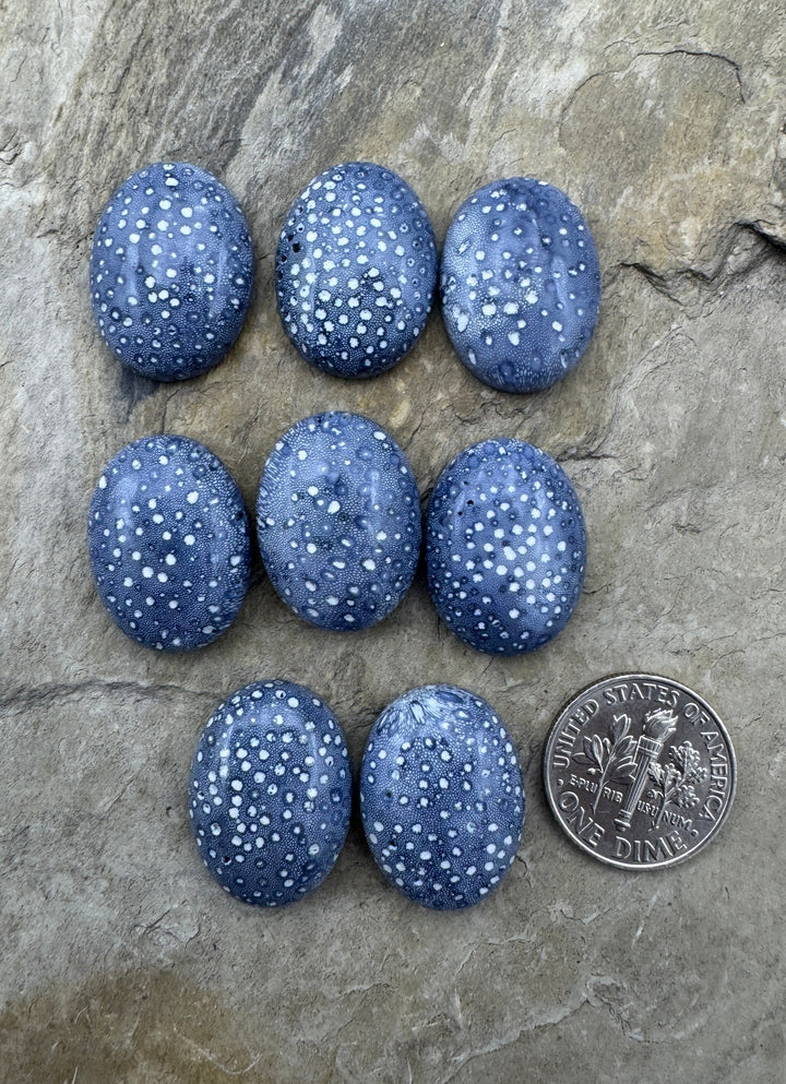 Natural Blue Sponge Coral 15x20mm Oval Cabochon
