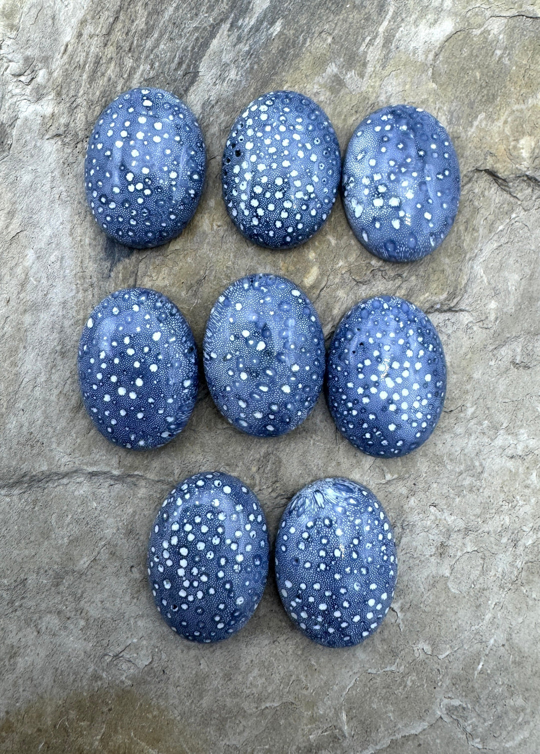 Natural Blue Sponge Coral 15x20mm Oval Cabochon