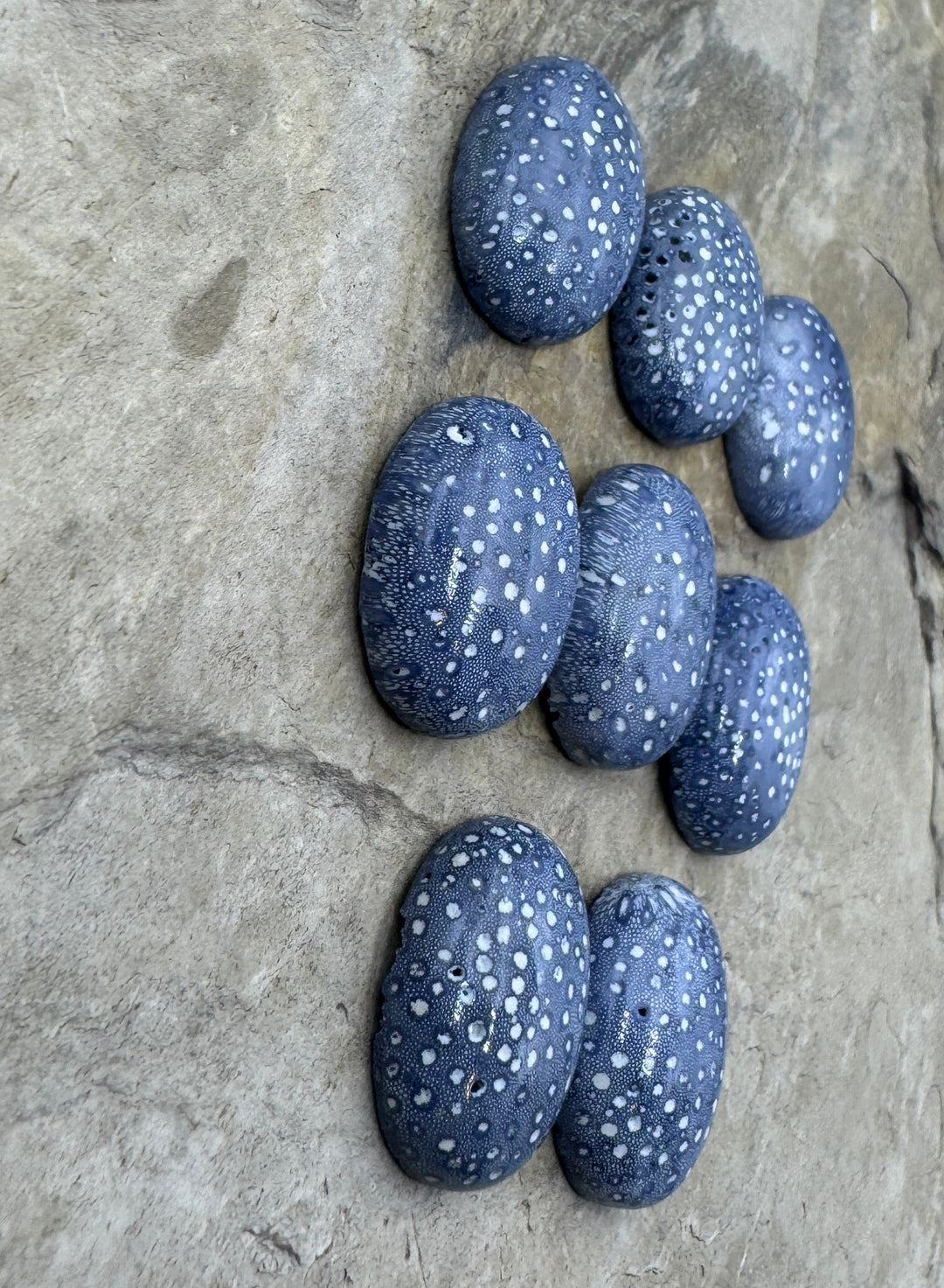 Natural Blue Sponge Coral 15x20mm Oval Cabochon