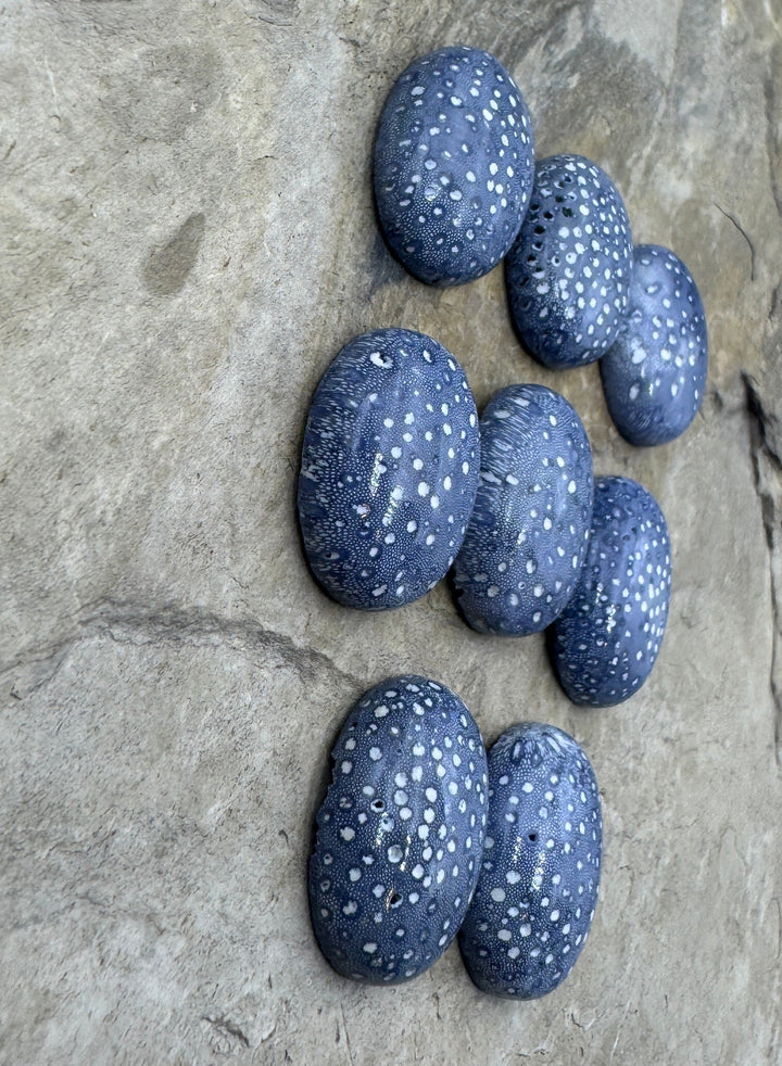 Natural Blue Sponge Coral 15x20mm Oval Cabochon