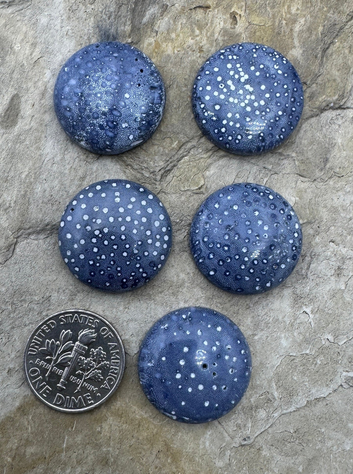 Natural Blue Sponge Coral 20mm Round Cabochon One Cabochon