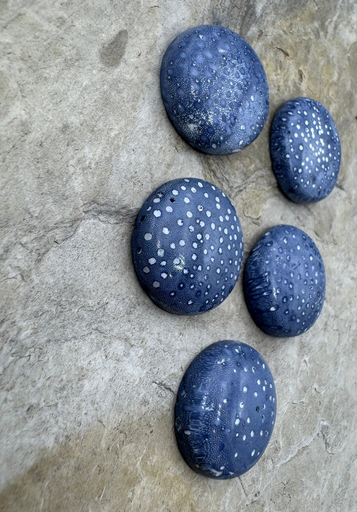 Natural Blue Sponge Coral 20mm Round Cabochon One Cabochon