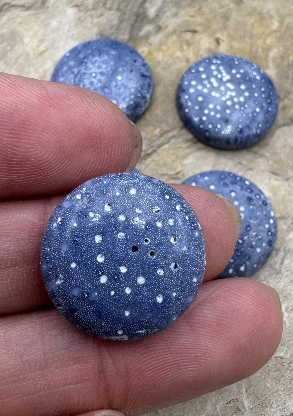 Natural Blue Sponge Coral 20mm Round Cabochon One Cabochon