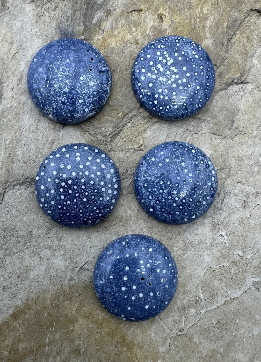 Natural Blue Sponge Coral 20mm Round Cabochon One Cabochon