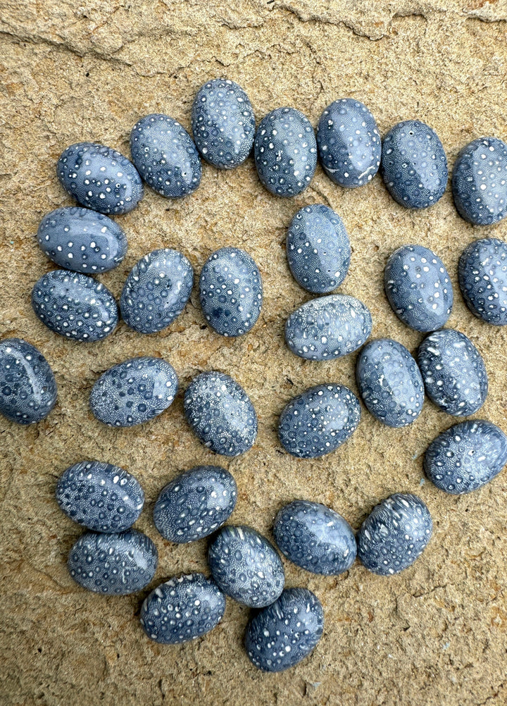 Natural Blue Sponge Coral Calibrated Oval Cabochons 10x14mm