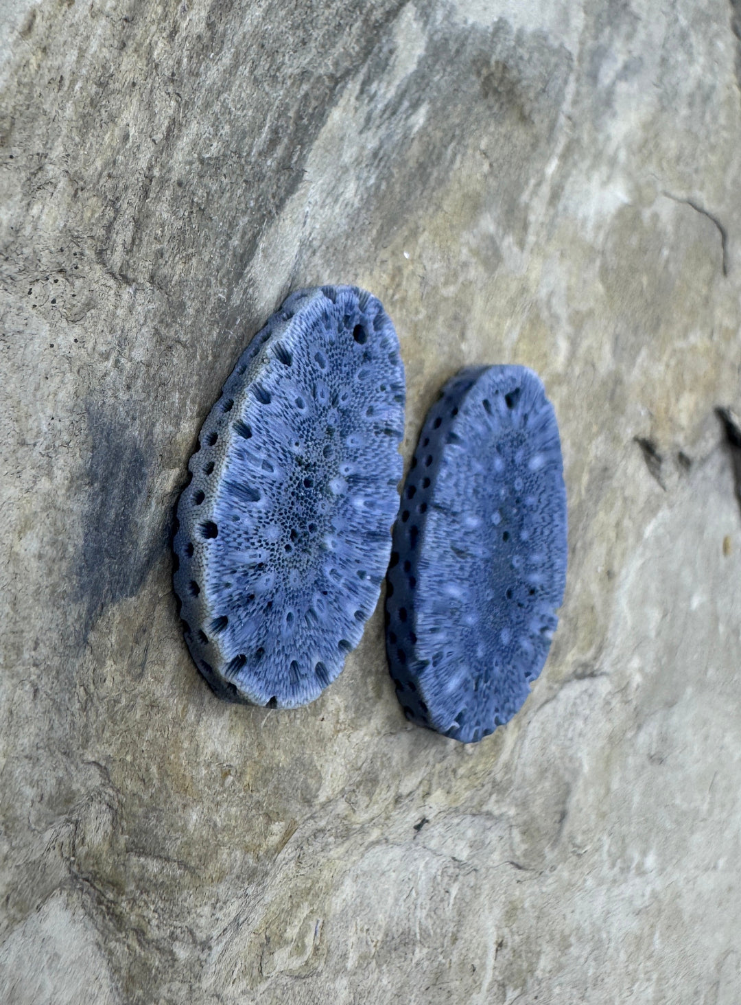 Natural Blue Sponge Coral Matching Earing Slab Bead Pair